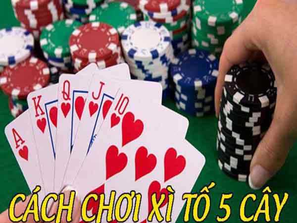 Tìm hiểu trò chơi xì tố 5 cây là gì?